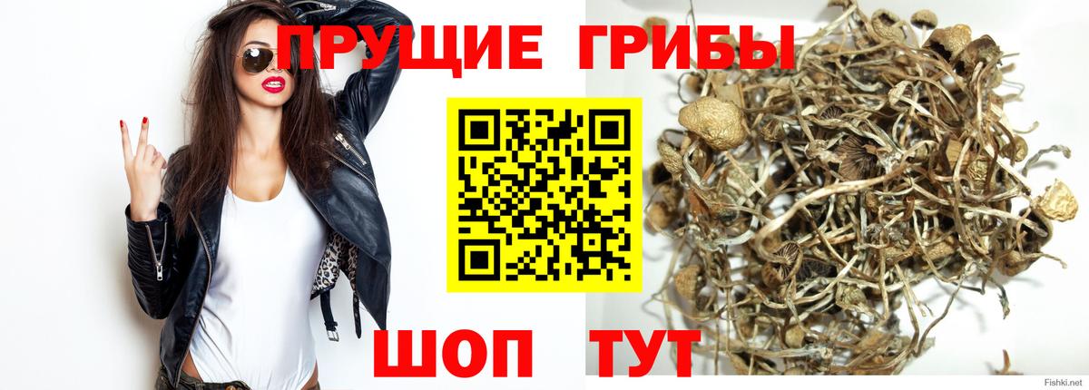 Псилоцибиновые грибы Psilocybe  Галлюциногенные грибы ЛСД  Шелехов  Вход с VPN 